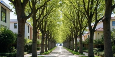 Melbourne Eastern Suburbs Cleaning